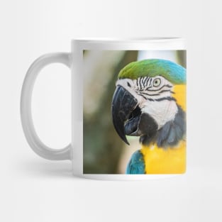 Preserve 3 Mug